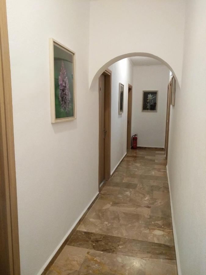 Calypso Apartment Agia Roumeli Exterior photo